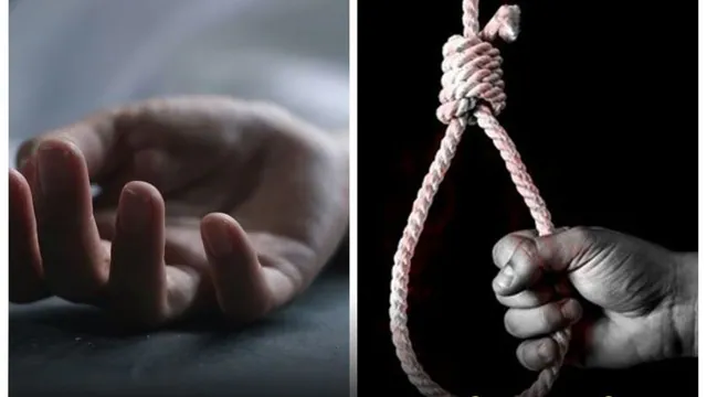 suicide 1759947079233 1759947088256 1767282058243