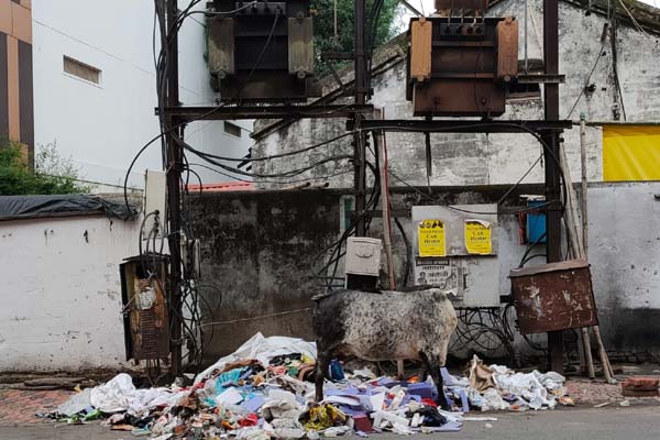 ट्रांसफार्मरों के नीचे बन रहे कचरा घर, क्या बड़े हादसे के बाद जागेगा निगम? 1 02 20