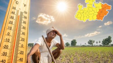 छह दिन से थमी बारिश, बढ़ी उमस; तापमान 35 डिग्री के पार, किसानों की चिंता बढ़ी 7 IMG 20260717 WA0004