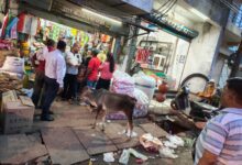 गंदगी और प्रतिबंधित पॉलीथिन पर नगर निगम की कार्रवाई 4 IMG 20260720 WA0048