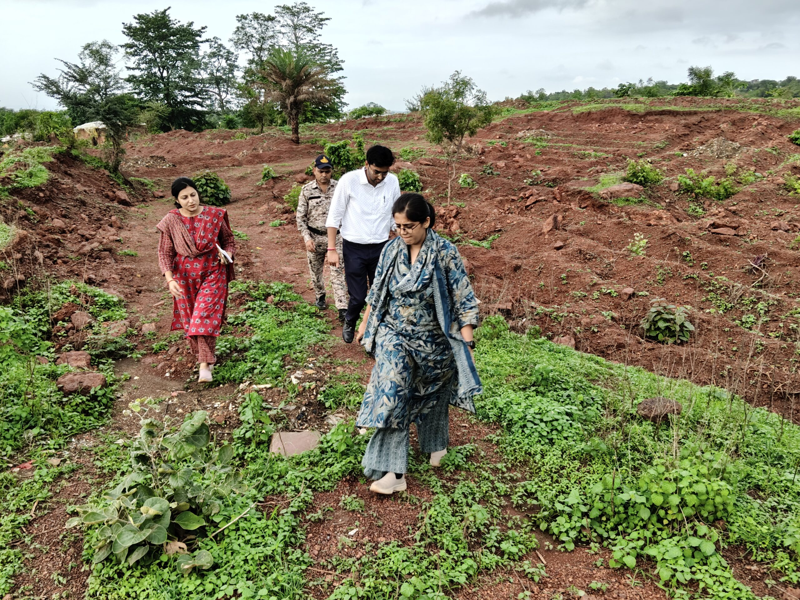 लाल पहाड़ी बनेगी हरित क्षेत्र, 9 हजार पौधों की तैयारी 3 IMG 20260723 WA0048 scaled