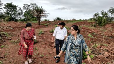 लाल पहाड़ी बनेगी हरित क्षेत्र, 9 हजार पौधों की तैयारी 11 IMG 20260723 WA0049
