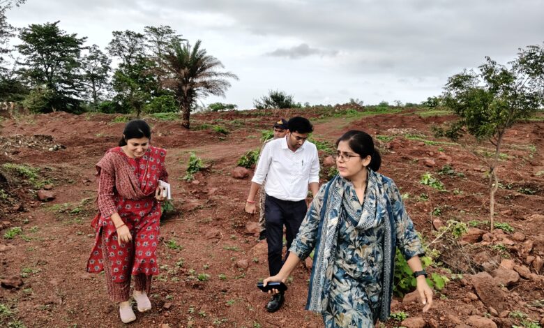 लाल पहाड़ी बनेगी हरित क्षेत्र, 9 हजार पौधों की तैयारी 1 IMG 20260723 WA0049