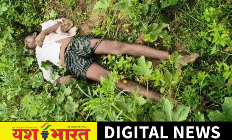 हाई वोल्टेज बिजली के टूटे तार की चपेट में आने से किसान की दर्दनाक मौत, गांव में शोक की लहर 1 IMG 20260708 132349