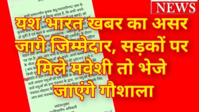 यश भारत खबर का असर : जागे जिम्मेदार, सड़कों पर मिले मवेशी तो भेजे जाएंगे गौशाला 8 InCollage 20260702 130357779