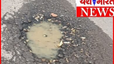 गड्ढों में तब्दील हुआ 80 लाख का विकास : नगरपालिका प्रशासन पर घटिया निर्माण के गंभीर आरोप 9 InCollage 20260710 203550017