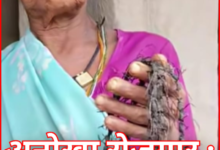 अनोखा रोजगार : 'कैश फॉर कीड़ा' स्कीम , साल के जंगलों पर बोरर कीट का हमला : 2 रुपये में कीट खरीद रहा वन विभाग 10 Screenshot 20260721 105445.Gallery
