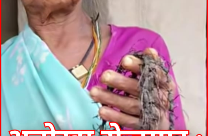 अनोखा रोजगार : 'कैश फॉर कीड़ा' स्कीम , साल के जंगलों पर बोरर कीट का हमला : 2 रुपये में कीट खरीद रहा वन विभाग 1 Screenshot 20260721 105445.Gallery