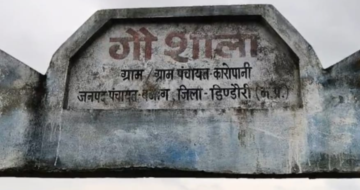 कांप गई रूह! : फाइलों में पल रहीं गायें, जमीन पर निगल रही मौत : गौशाला का कड़वा सच....गौशाला या मौत का इंतजार! तीन महीने से राशि नहीं, 15 गौवंश की मौत; गड्ढे में मिले शव... 2 Screenshot 20260731 111250.WhatsApp