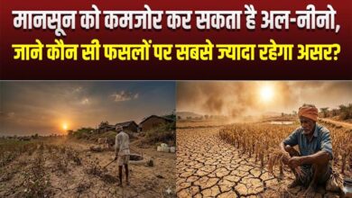अल नीनो का असरः जबलपुर सहित प्रदेश में कमजोर पड़ सकता है मानसून 9 Untitled 5 copy 2