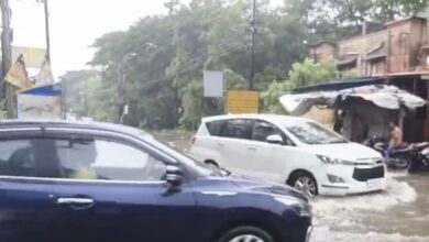 भोपाल में मानसून ने दिखाई रफ्तार, झमाझम बारिश से जनजीवन प्रभावित 6 WhatsApp Image 2026 07 02 at 17.32.28