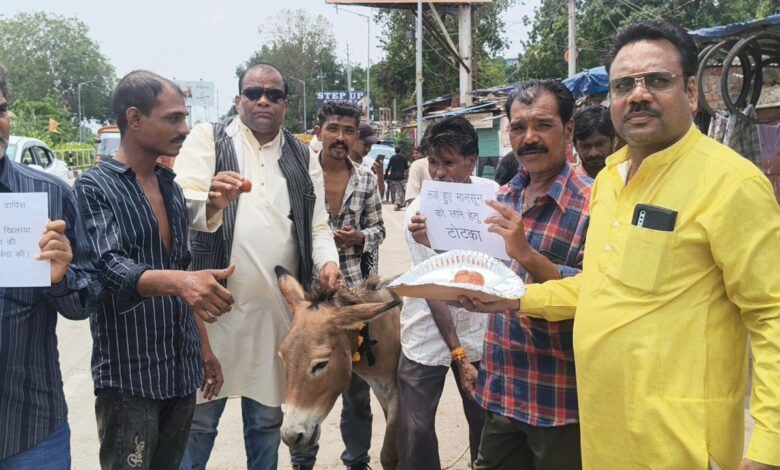 मानसून बुलाने कोलार तिराहे पर गधे को खिलाए गुलाब जामुन, देखे वीडियो 1 WhatsApp Image 2026 07 18 at 11.27.55 1