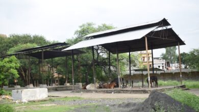 मुक्तिधाम बना असामाजिक तत्वों का अड्डा टूटी बाउंड्री और अंधेरे से बढ़ी परेशानी 13 WhatsApp Image 2026 07 26 at 10.30.44