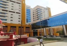 hamidia H 85969 1765395954219