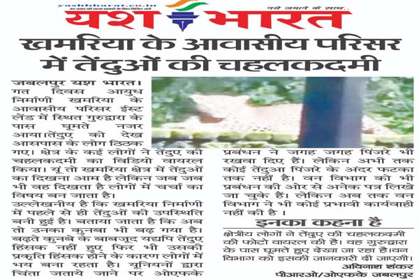 खमरिया के आवासीय परिसर में तेंदुओं की चहलकदमी, गुरुद्वारा और टाइप -2के पास घूमते देख ठिठके रहवासी 1 07 2