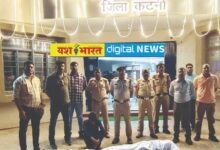 खेत में लहलहा रही थी गांजे की फसल, माधवनगर पुलिस की दबिश, 30 किलो 790 ग्राम हरे गांजे के पौधे जब्त 5 IMG 20260814 WA0007
