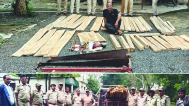 ढीमरखेड़ा में बढ़ई के घर वन विभाग की रेड, अवैध सागौन चिरान और बढ़ईगिरी के औजार जब्त, जंगल से सागौन काट कर करता था व्यापार 12 IMG 20260818 WA0021 1