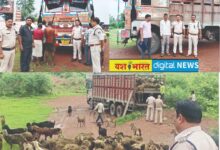 ट्रकों में ठंूस-ठंूसकर पशुओं का परिवहन, निवार एवं झिंझरी पुलिस ने की कार्रवाई, 617 पशुओं को कराया मुक्त, पशु क्रूरता निवारण अधिनियम के तहत मामला दर्ज 11 IMG 20260821 WA0016
