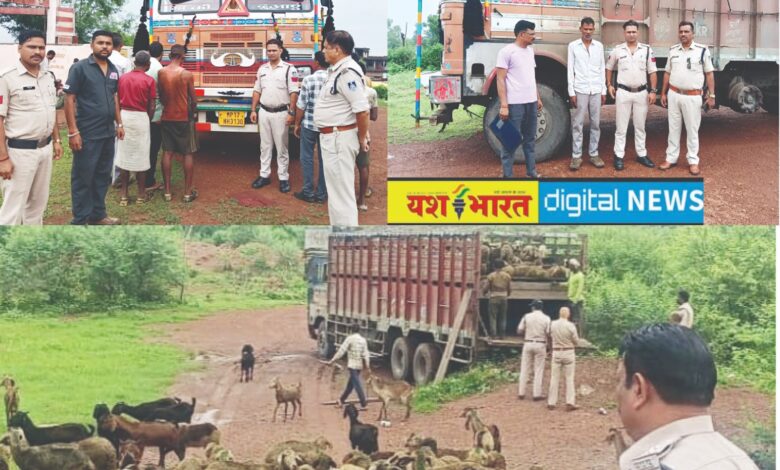 ट्रकों में ठंूस-ठंूसकर पशुओं का परिवहन, निवार एवं झिंझरी पुलिस ने की कार्रवाई, 617 पशुओं को कराया मुक्त, पशु क्रूरता निवारण अधिनियम के तहत मामला दर्ज 1 IMG 20260821 WA0016
