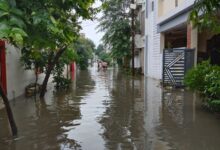पिछले 24 घंटे में दर्ज हुई 2.19 इंच वर्षा 10 IMG 20260822 WA00231