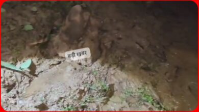 बड़ी खबर : मैहर में विंध्य के सबसे बड़े तालाब में शुरू हुआ पानी का रिसाव : दो दर्जन से ज्यादा गांवों पर संकट... देखें पूरा वीडियो 3 InCollage 20260817 134125549