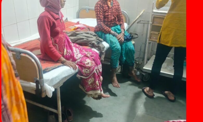 पगडंडी के रास्ते डेढ़ किलोमीटर पैदल चलकर प्रसूता को एंबुलेंस तक पहुंचाया : बच गई जान 1 InCollage 20260819 160036275