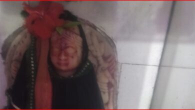 InCollage 20260824 125746264
