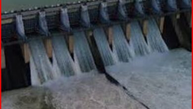 सोन की लहरों में रफ्तार, बाणसागर के खुले द्वार : 50-50 सेमी उठे गेट, प्रति सेकंड 300 क्यूमेक्स पानी की हो रही निकासी 6 InCollage 20260825 114031784