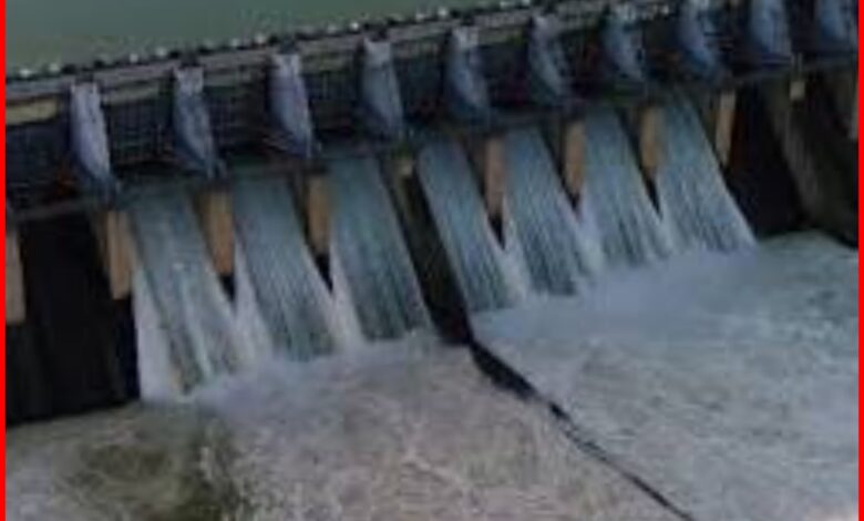 सोन की लहरों में रफ्तार, बाणसागर के खुले द्वार : 50-50 सेमी उठे गेट, प्रति सेकंड 300 क्यूमेक्स पानी की हो रही निकासी 1 InCollage 20260825 114031784