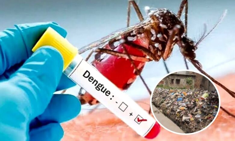 राजधानी में डेंगू ने बढ़ाई चिंता, जांच घटी, संक्रमण बढ़ा - एक साल में पॉजिटिविटी 1 से बढ़कर 1.55%, जुलाई-अगस्त में सामने आए 31 नए केस 1 WhatsApp Image 2026 08 30 at 08.19.20