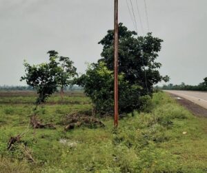 रतापानी टाइगर रिजर्व के दो गांवों की बदलेगी तस्वीर - स्वैच्छिक पुनर्वास योजना के तहत भोपाल-जबलपुर हाईवे के किनारे बसेंगे ग्रामीण 2 WhatsApp Image 2026 08 30 at 10.06.06 1
