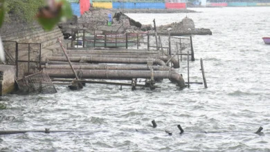 भोपाल में बारिश से जलस्रोतों को राहत, डैमों का जलस्तर बढ़ा 4 bhopal 9a7b07969a6c7926a128da9bcc06241d