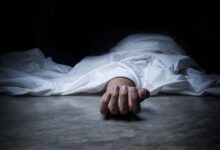 origorig000216337326641643581388 1647238939