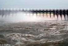 यशभारत ब्रेकिंग : क्षमता से अधिक भरा बरगी बांध, 17 गेट खुले, 21 की नौबत, देखे वीडियो ...... 8 025