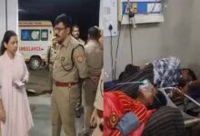 डिवाइडर से टकराकर पलटी श्रद्धालुओं से भरी पिकअप, छह की मौत,पिकअप में सवार थे 32 लोग 3 06 4