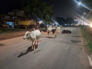 सावधान ख़तरे में है ! सफ़र... 5 20260805 194824