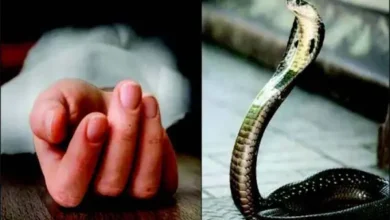 पिता की मौत के सदमे में 15 वर्षीय बेटी ने भी दम तोड़ा,सांप के काटने से हुई थी पिता की मौत 15 20260923181703 b7Wj5enc