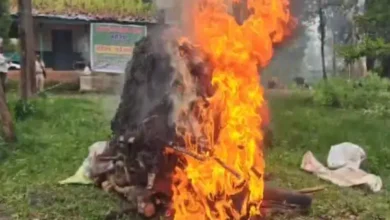 19 लाख से ज्यादा साल बोरर कीटों का किया गया विनष्टीकरण : तीन वन परिक्षेत्रों में मिला था प्रकोप, 1.46 लाख से अधिक साल के पेड़ चिह्नित 7 20260925164802 34iSrd3E