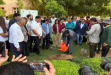 ‘मां के नाम एक पेड़’ अभियान में BITS पिलानी दुबई कैंपस में हुआ वृक्षारोपण 2 20260928151036 h9b9JdtA