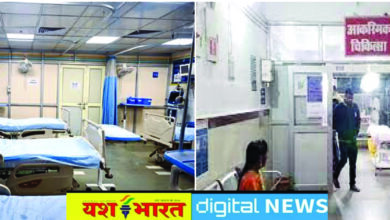 स्वाइन फ्लू : स्वास्थ्य विभाग अलर्ट, एडवाइजरी जारी, कटनी में एक भी केस नहीं, फिर भी तैयारियां, संदिग्ध मरीजों की आईसीएमआर से होगी जांच 6 34