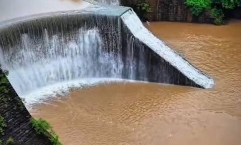 जंगल के बीच पत्थरों का अद्भुत आश्चर्य 1 IMG 20260912 WA00401
