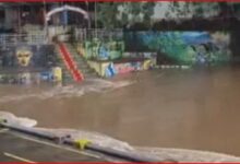 मध्य प्रदेश में "जल आपातकाल" : नदियों ने दिखाया रौद्र रूप: चित्रकूट में मंदाकिनी, मंडला में नर्मदा उफान पर, कई जिले हाई अलर्ट पर... देखें पूरा वीडियो 2 InCollage 20260904 090136204