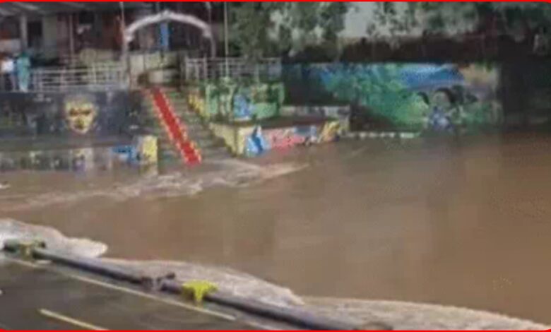मध्य प्रदेश में "जल आपातकाल" : नदियों ने दिखाया रौद्र रूप: चित्रकूट में मंदाकिनी, मंडला में नर्मदा उफान पर, कई जिले हाई अलर्ट पर... देखें पूरा वीडियो 1 InCollage 20260904 090136204