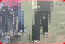 InCollage 20260914 084558278