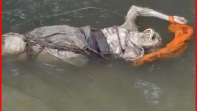 हाथ बांधे, नदी में फेंका और मिटा दिया नामोनिशान?: नदी ने उगला राज़!...मांस गल गया, हड्डियां बचीं... पर बंधे हाथ चीख रहे हैं खौफनाक दास्तान! 3 InCollage 20260914 192945233