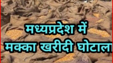 मक्का खरीदी में बड़ा फर्जीवाड़ा: बिना मक्का खरीदे 76 लाख रुपये का भुगतान, मुख्य आरोपी गिरफ्तार 5 InCollage 20260918 111745787