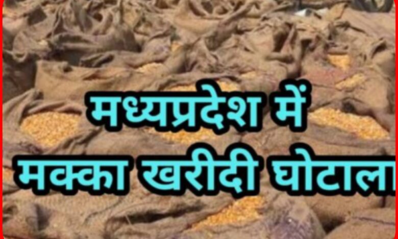 मक्का खरीदी में बड़ा फर्जीवाड़ा: बिना मक्का खरीदे 76 लाख रुपये का भुगतान, मुख्य आरोपी गिरफ्तार 1 InCollage 20260918 111745787