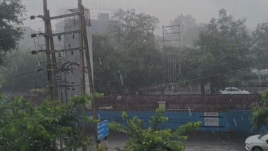 भोपाल में बदला मौसम, तेज हवाओं के साथ झमाझम बारिश से मिली राहत,देखें वीडियो 5 Screenshot 2026 09 17 164403