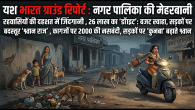 यश भारत ग्राउंड रिपोर्ट : नगर पालिका की मेहरबानी रहवासियों की दहशत में जिंदगानी , 26 लाख का 'डॉग बाइट': बजट स्वाहा, सड़कों पर बदस्तूर 'श्वान राज', कागजों पर 2000 की नसबंदी, सड़कों पर 'कुनबा' बढ़ाते श्वान 5 Screenshot 20260929 215446.WhatsApp