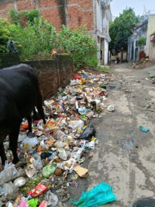 सफाई व्यवस्था ठप, गंदगी के बीच रहने को मजबूर वार्ड 56 के रहवासी 2 WhatsApp Image 2026 09 04 at 15.23.33